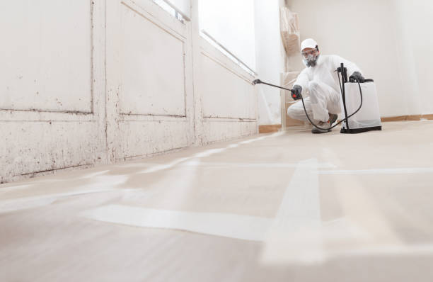 24/7 Emergency Commercial Mold Remediation experts in Madison, IL