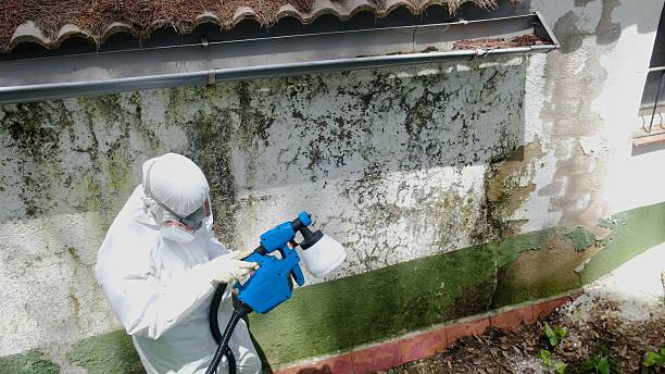 Top rated local Commercial Mold Remediation specialists in Madison, IL